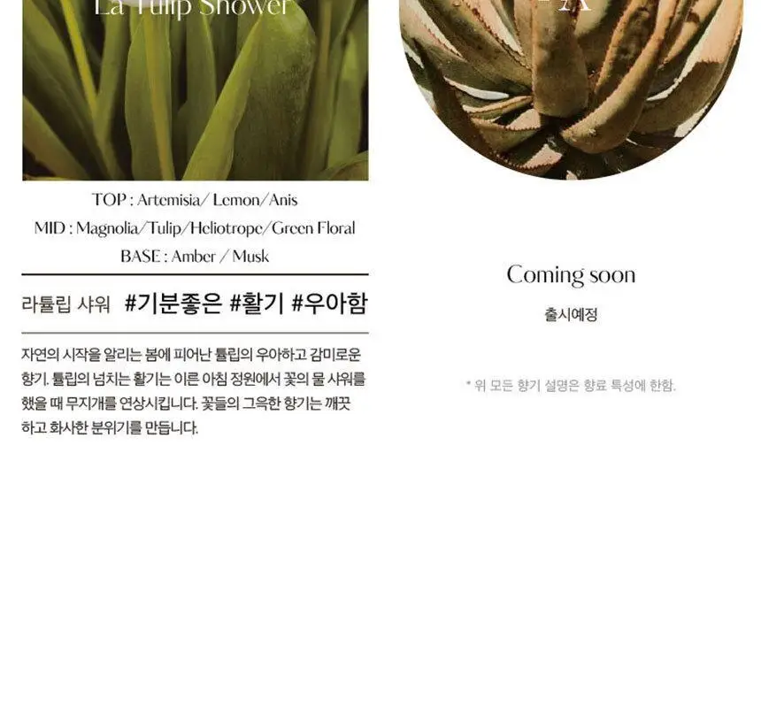 [올영 1위 디퓨저/단독기획] 헤트라스 프리미엄 대용량 디퓨저 510ml 2개입 기획세트 / 헬로키티 콜라보 디퓨저 상세페이지 37
